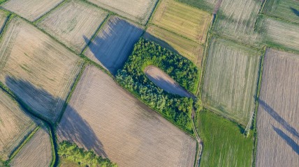 Het middeleeuwse millennium. Een kijk vanuit de Vlaamse bodem