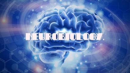 Naar een wereld zonder Parkinson